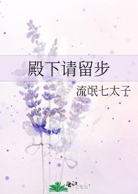 殿下请留步